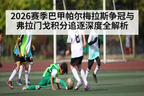2026赛季巴甲帕尔梅拉斯争冠与弗拉门戈积分追逐深度全解析